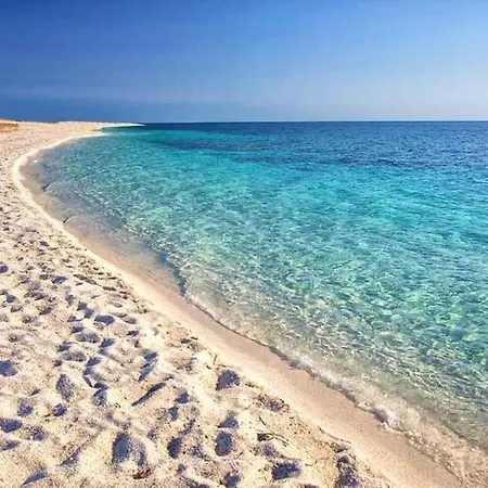 Paradibosa